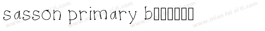 sasson primary b字体转换